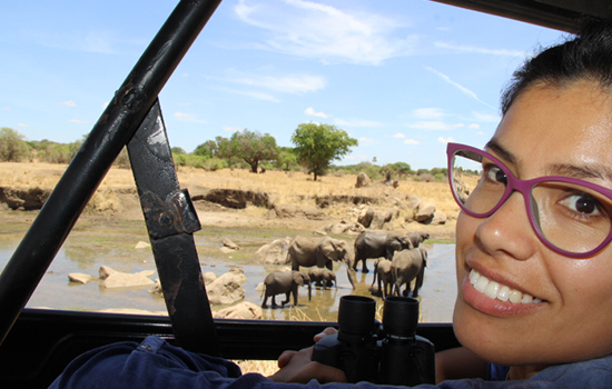 Tanzania budget safari